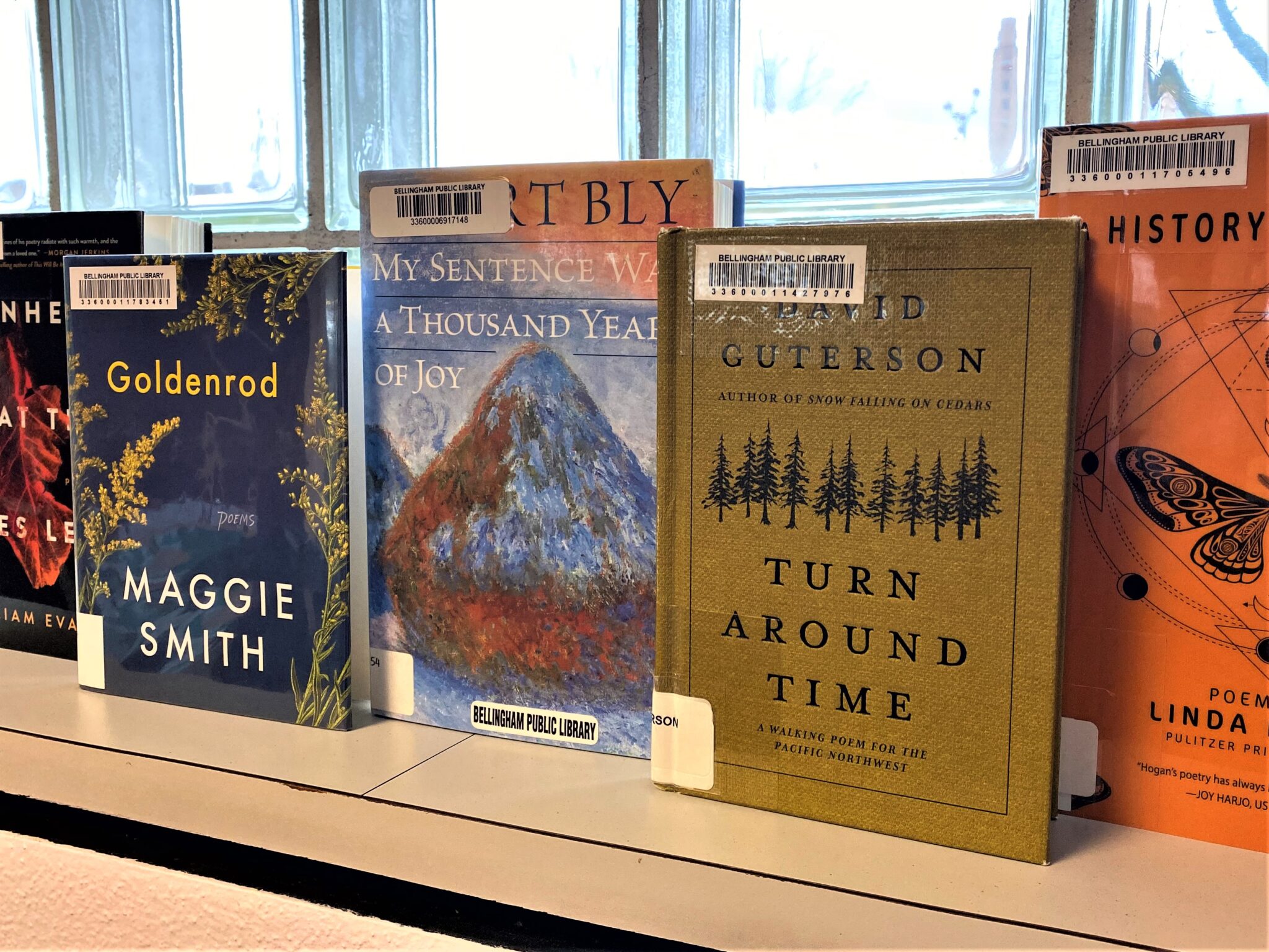 Poetry books on a windowsill