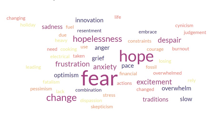 Cloud of words such as fear, hope, hopelessness, despair, change, excitement