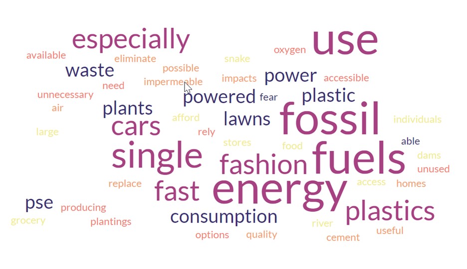 Cloud of words such as fossil fuels, energy, plastics, cars, single, fast, fashion