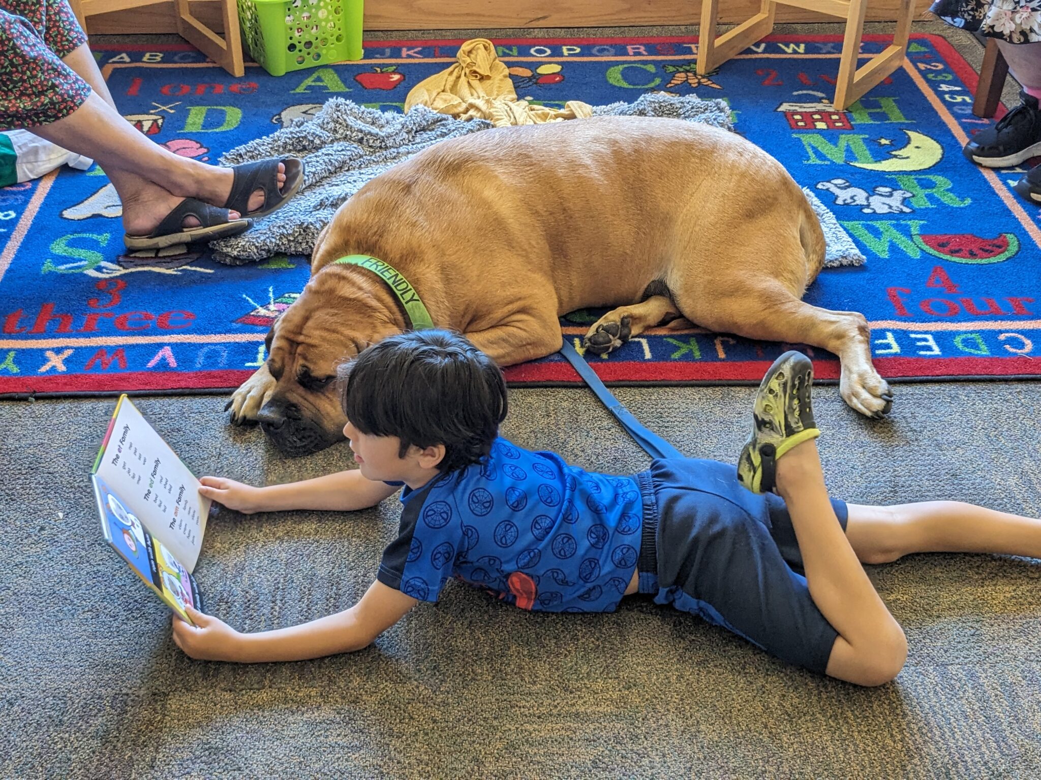 Dog and boy reading a book on the floor.
