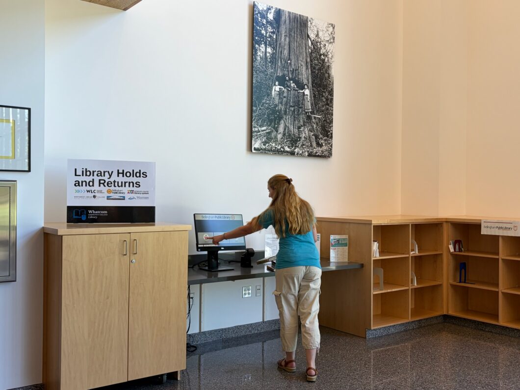 Person checking out books on computer screen